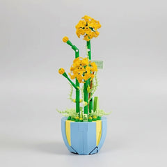 Plant B