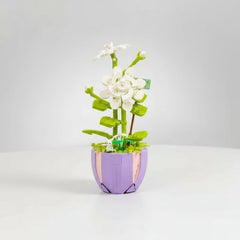 Plant C