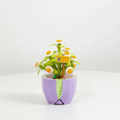 Plant H