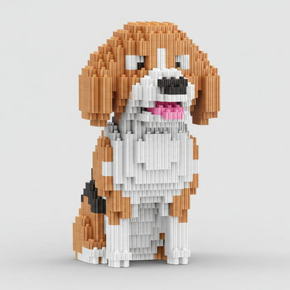 Beagle | Bouwpakket