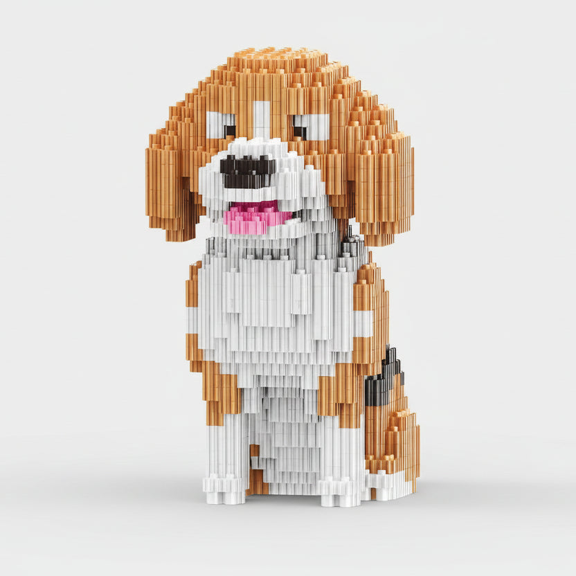 Beagle | Bouwpakket